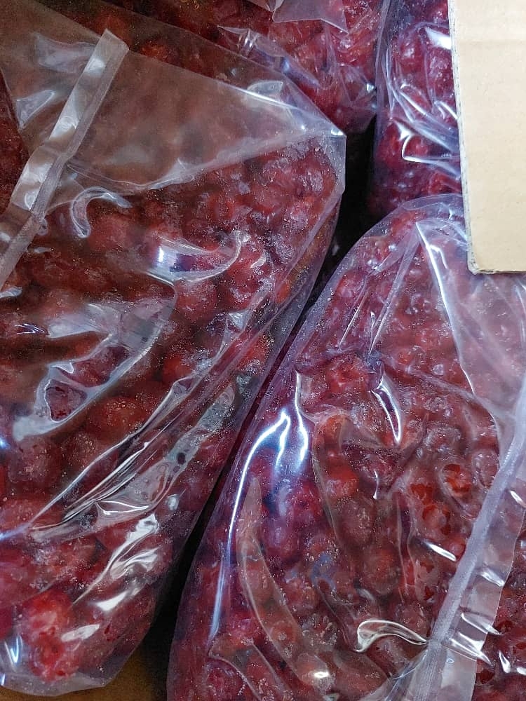 خرید و قیمت عمده میوه خشک گیلاس بری قرمز تایلندی 1404 وجیسنک خرید مستقیم تولیدی فله کیلویی بسته بندی